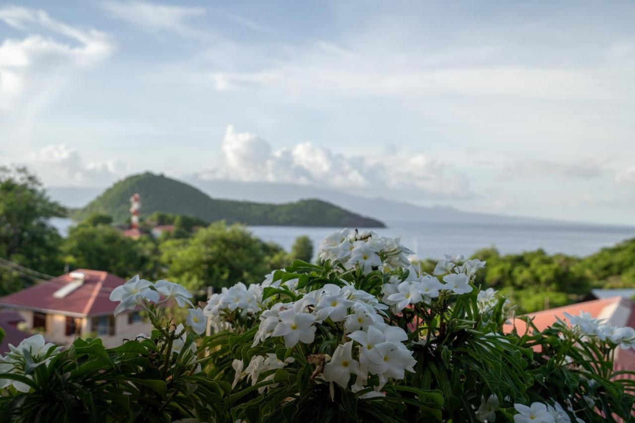 Bungalow Anse Figuier テール・ド・オー エクステリア 写真