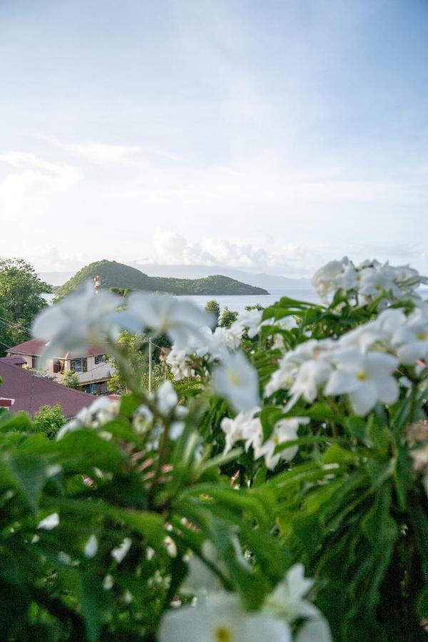 Bungalow Anse Figuier テール・ド・オー エクステリア 写真